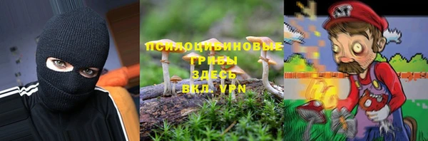 стаф Абаза