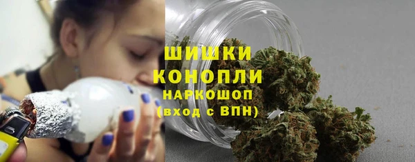 стаф Абаза